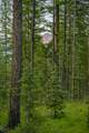 NHN Lindbergh Lake Road - Photo 18