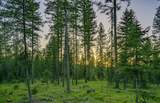 NHN Lindbergh Lake Road - Photo 22