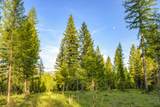 NHN Lindbergh Lake Road - Photo 23