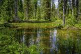 NHN Lindbergh Lake Road - Photo 24