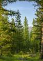 NHN Lindbergh Lake Road - Photo 27