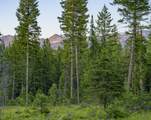 NHN Lindbergh Lake Road - Photo 28