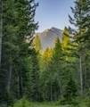 NHN Lindbergh Lake Road - Photo 5