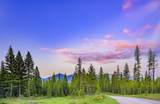 NHN Lindbergh Lake Road - Photo 7