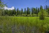 NHN Lindbergh Lake Road - Photo 9