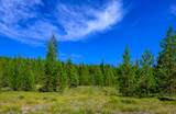 NHN Route 83 - Photo 20