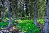 NHN Route 83 - Photo 9