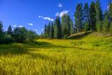 002 Route 83 - Photo 27