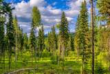 002 Route 83 - Photo 7