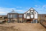 2117 Nixon Gulch Road - Photo 26