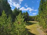 360 Discovery Loop - Photo 4