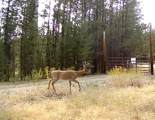 360 Discovery Loop - Photo 8