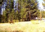 360 Discovery Loop - Photo 9