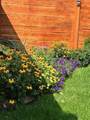 413 A Street - Photo 13
