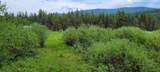 Nhn Fork Yaak Road - Photo 2