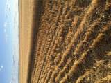 UKN Flat Creek Road - Photo 11