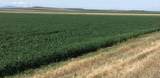 UKN Flat Creek Road - Photo 4