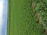 UKN Flat Creek Road - Photo 7