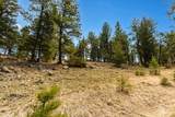1059 Hwy 282 - Photo 32