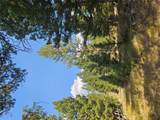 8880 Elk Trail Loop - Photo 38