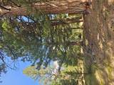 8880 Elk Trail Loop - Photo 39