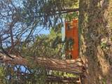 8880 Elk Trail Loop - Photo 40