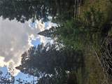 8880 Elk Trail Loop - Photo 42