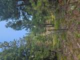 8880 Elk Trail Loop - Photo 43