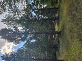 8880 Elk Trail Loop - Photo 45