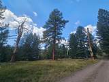 8880 Elk Trail Loop - Photo 49