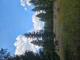 8880 Elk Trail Loop - Photo 51