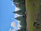 8880 Elk Trail Loop - Photo 52