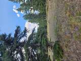 8880 Elk Trail Loop - Photo 53