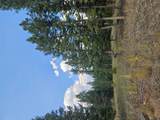 8880 Elk Trail Loop - Photo 55