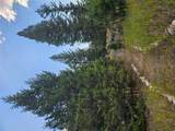 8880 Elk Trail Loop - Photo 56
