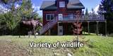 9411/9415 Lost Prairie Road - Photo 9