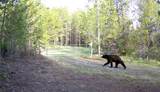 9411/9415 Lost Prairie Road - Photo 17