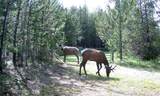 9411/9415 Lost Prairie Road - Photo 19