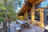 70 Limber Pine - Photo 18