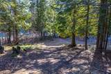 70 Limber Pine - Photo 27
