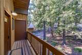 70 Limber Pine - Photo 4