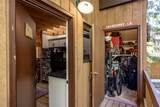 70 Limber Pine - Photo 5
