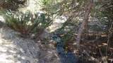 00 Northwood Road - Photo 46