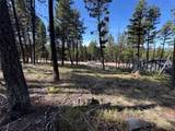 349 Seclusion Point - Photo 4