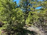 17 Keating Gulch Road - Photo 11