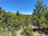 17 Keating Gulch Road - Photo 3