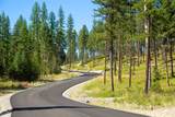 1131 Whitefish Ridge Road - Photo 4