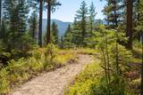 1131 Whitefish Ridge Road - Photo 6