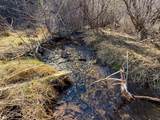 4220 Denton Gulch Road - Photo 10