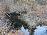 4220 Denton Gulch Road - Photo 43